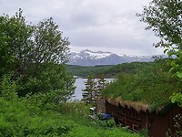 Zicht op de fjord bij een huisje met begroeid dak