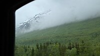 Mist