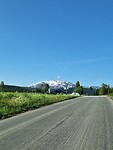 De besneruwde bergen