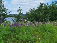 Op weg naar Trondheim
