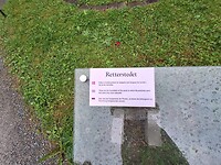 Tekst bij het gedenkteken