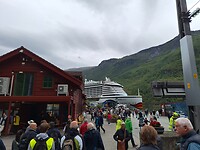 Drukte alom bij de cruiseschepen