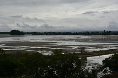 Wetland tussen Mapua en Motueka
