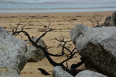 Sandy Beach