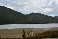 DSC_2098