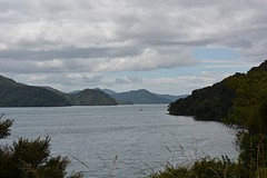 DSC_2104