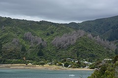 DSC_2107