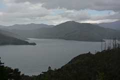 DSC_2115