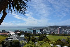 Waanzinnig mooi uitzicht over Wellington