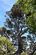 Botanische tuin