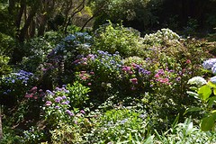 Botanische tuin