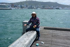 Wellington haven