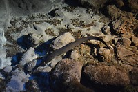 DSC_2565