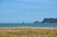 DSC_2607