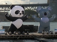 Samenwerking China (Panda) en Australie (Koala)