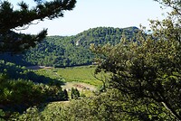DSC00117