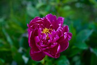 DSC00864