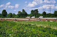 DSC00860