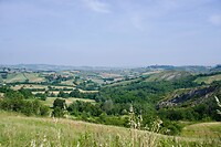 DSC00952