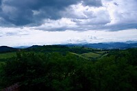 DSC00996