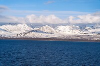 DSC04345