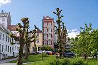 DSC04636