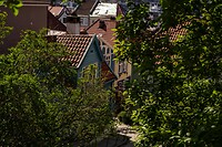 DSC04655