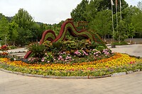 DSC05272