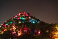 DSC05831