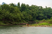 DSC05859