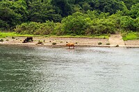 DSC05860
