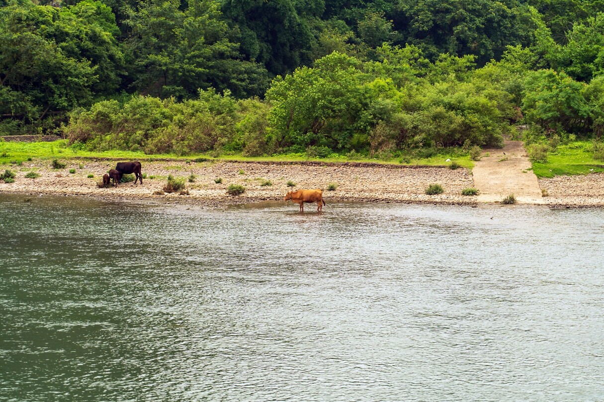 DSC05860