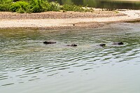 DSC05892