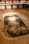 DSC06086