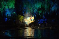 DSC06121