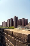 DSC06137