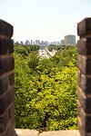 DSC06139