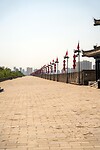 DSC06141