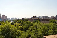 DSC06154