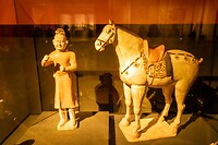 DSC06206