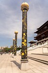 DSC06219