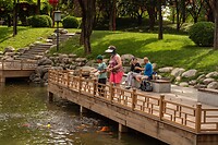 DSC06232