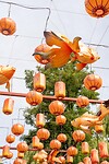 DSC06234