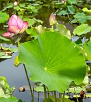 DSC06240