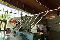 DSC06345