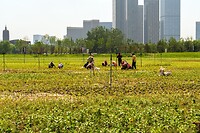 DSC06368