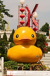 DSC06369