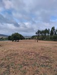 IMG_20181014_114324