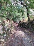IMG_20181018_124825