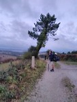 IMG_20181018_084333